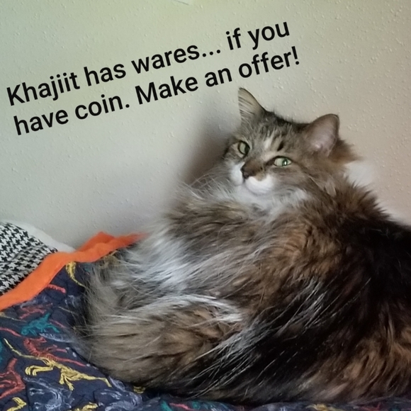 Posh Ambassador-Shop with Confidence - Picture 4 of 4